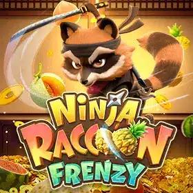 Ninja Raccoon Frenzy